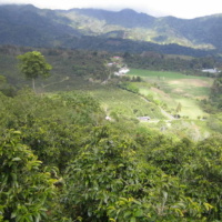 Baru-Vaolcano-2