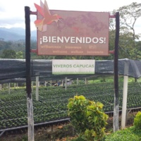 Capucas-Nursery