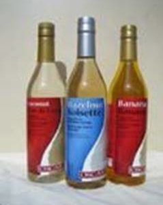 Monin Premium Sugar Free Syrups